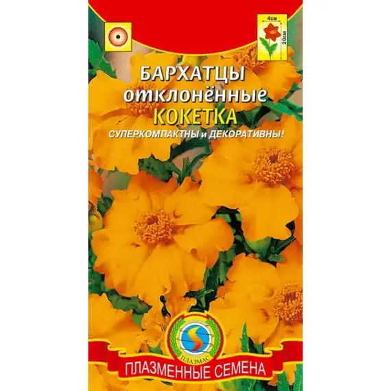 Семена Бархатцы Кокетка отклоненные (а/ф Плазменные Семена)