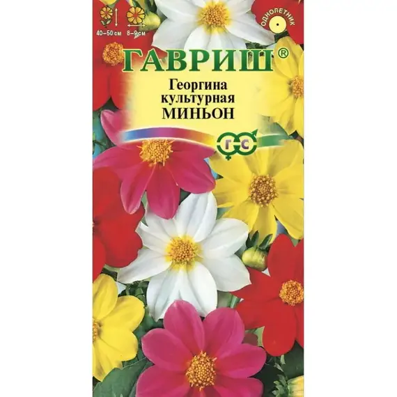 Семена Георгина Миньон, смесь (а/ф Гавриш)