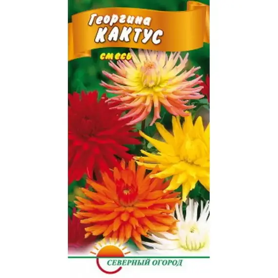 Семена Георгина Кактусовая смесь (а/ф Северный Огород)