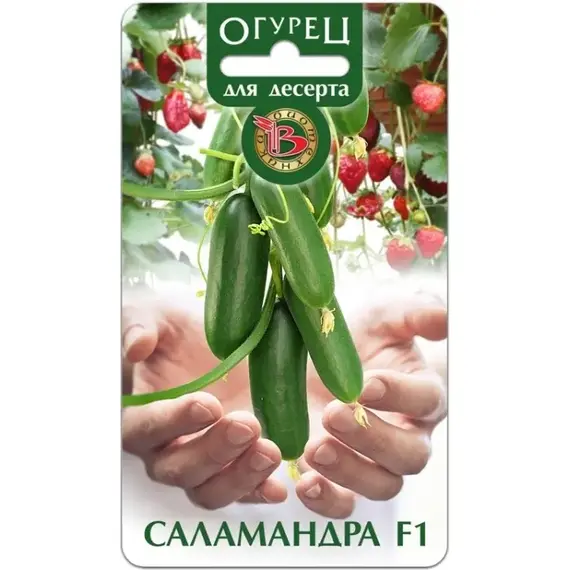 Семена Огурец Саламандра F1 для десерта! (а/ф Биотехника)