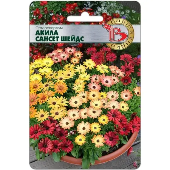 Семена Остеоспермум Акила Сансет Шейдс (а/ф Биотехника)