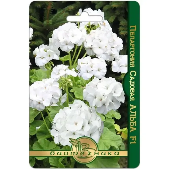 Семена Пеларгония садовая Альба F1 (а/ф Биотехника)