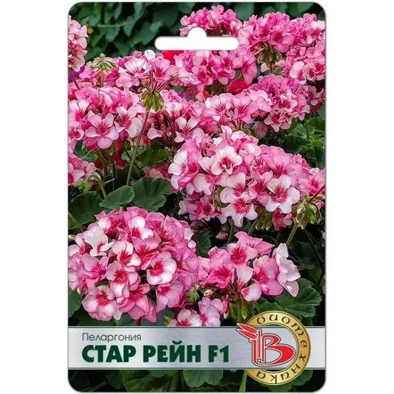 Семена Пеларгония Стар Рейн F1 (а/ф Биотехника)