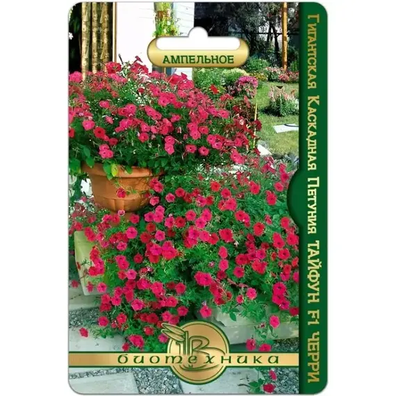 Семена Петуния гигантская каскадная Тайфун F1 Черри (а/ф Биотехника)