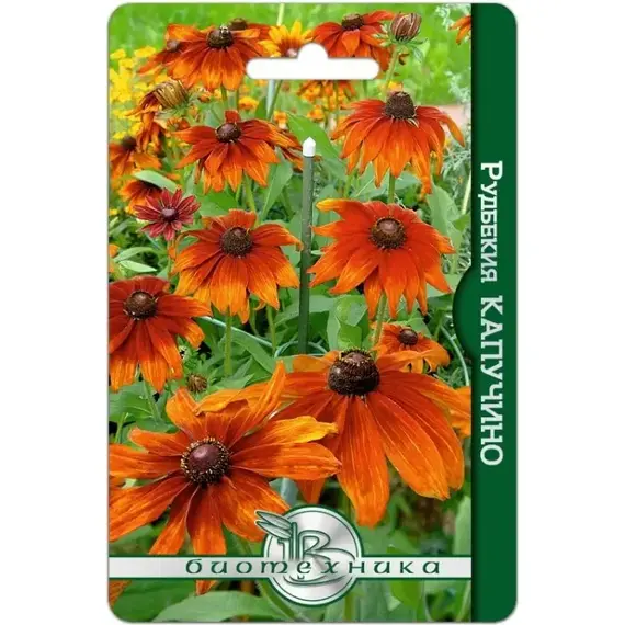 Семена Рудбекия Капучино (а/ф Биотехника)