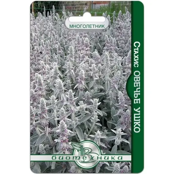 Семена Стахис (чистец византийский) Овечье ушко (а/ф Биотехника)