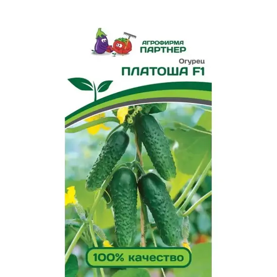 Семена Огурец Платоша F1 (А/Ф Партнер)