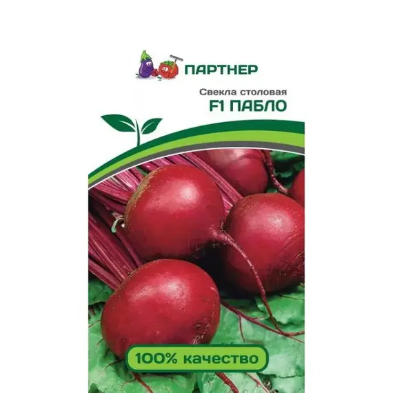 Семена Свекла Столовая Пабло F1 (А/Ф Партнер)