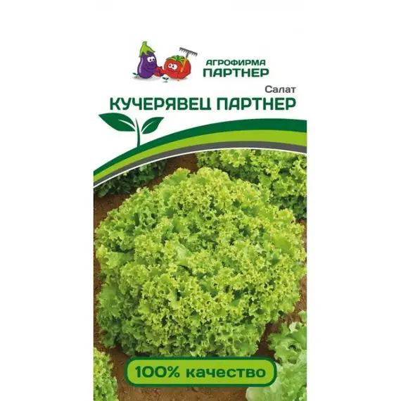 Семена Салат Кучерявец Партнер (А/Ф Партнер)