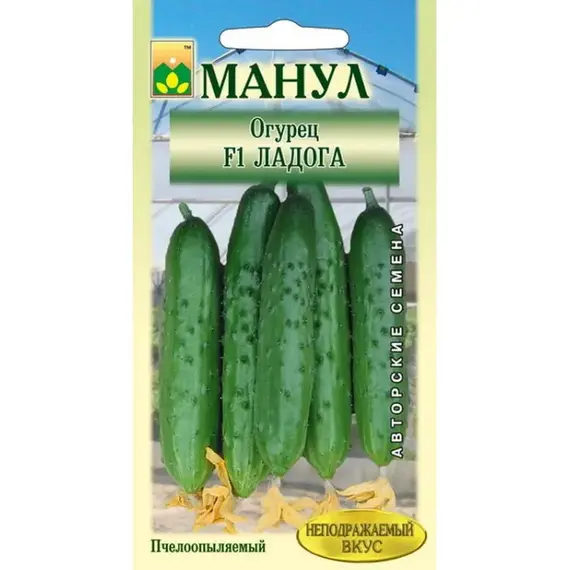 Семена Огурец Ладога F1 (а/ф Манул)