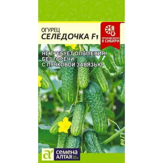 Семена Огурец Селедочка F1 (а/ф Семена Алтая)