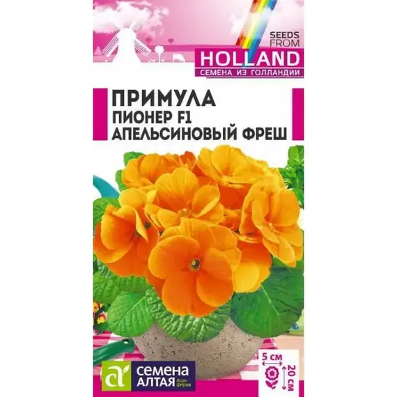 Семена Примула Пионер Апельсиновый Фреш (а/ф Семена Алтая)