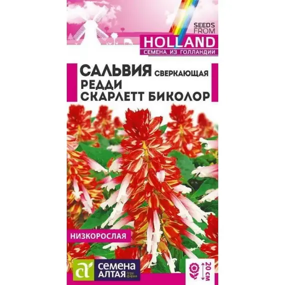 Семена Сальвия Редди Скарлет Биколор Сверкающая (а/ф Семена Алтая)