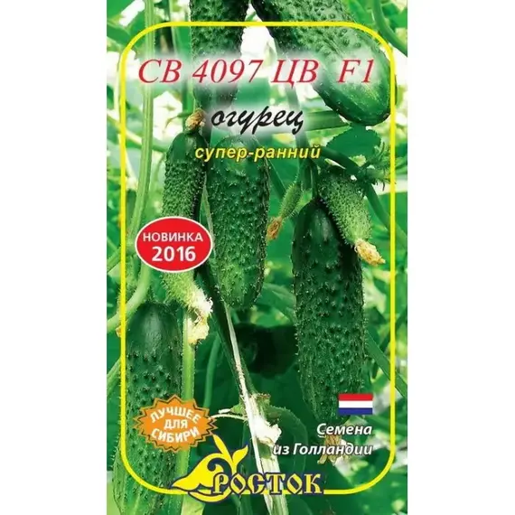 Семена Огурец Св 4097 Цв F1 5 Шт (а/ф Росток)