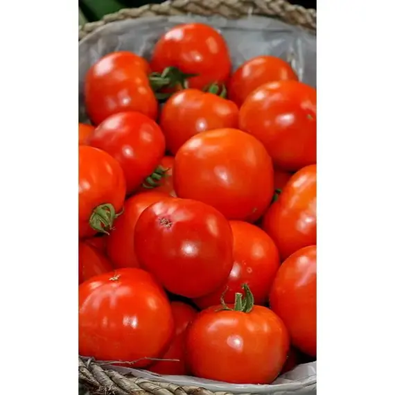 Семена Томат Белле Росса F1 10 Шт (а/ф Росток)