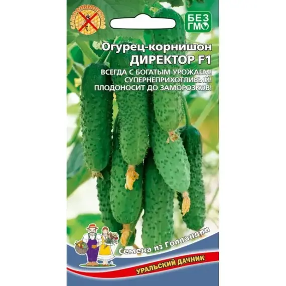 Семена Огурец Директор F1 (а/ф Уральский Дачник)