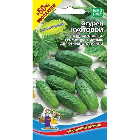 Семена Огурец Кустовой (а/ф Уральский Дачник) +50% БЕСПЛАТНО