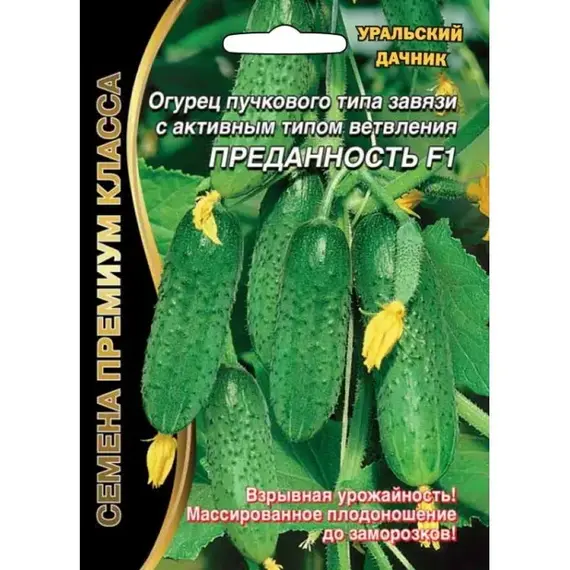 Семена Огурец Преданность F1 (а/ф Уральский Дачник)