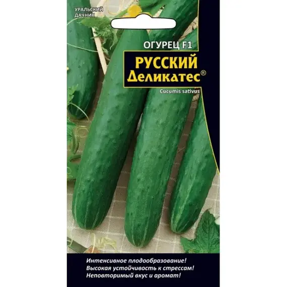 Семена Огурец Русский Деликатес - салатный F1 (а/ф Уральский Дачник)