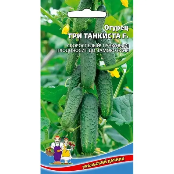Семена Огурец Три танкиста - корнишон F1 (а/ф Уральский Дачник)