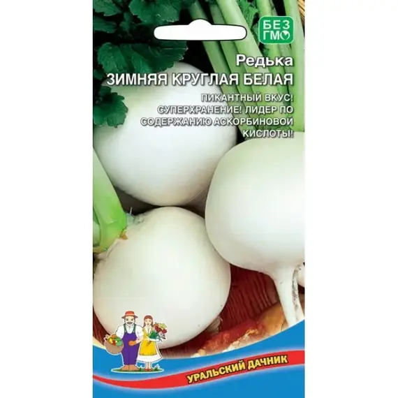 Семена Редька Зимняя круглая Белая (а/ф Уральский Дачник)