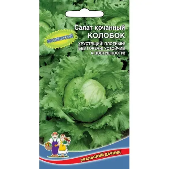 Семена Салат Колобок - кочанный (а/ф Уральский Дачник)