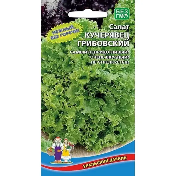Семена Салат Кучерявец Грибовский (а/ф Уральский Дачник)