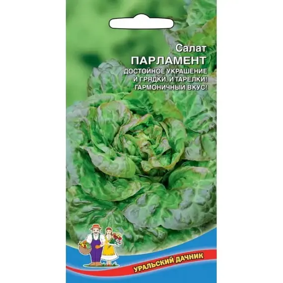 Семена Салат Парламент (а/ф Уральский Дачник)