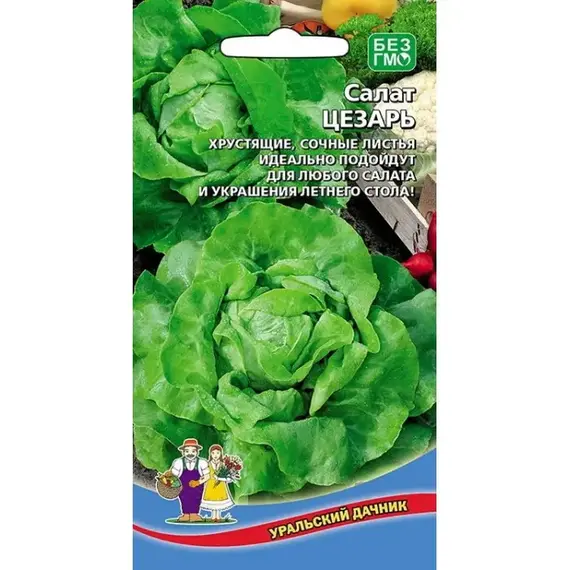 Семена Салат Цезарь (а/ф Уральский Дачник)