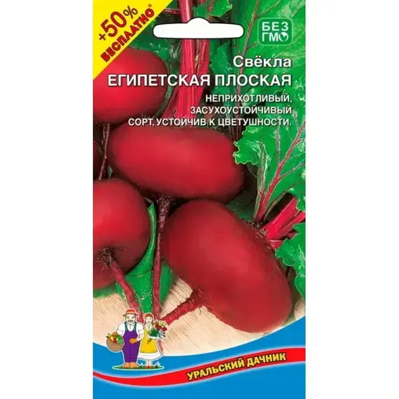 Семена Свекла Египетская Плоская (а/ф Уральский Дачник) +50% БЕСПЛАТНО
