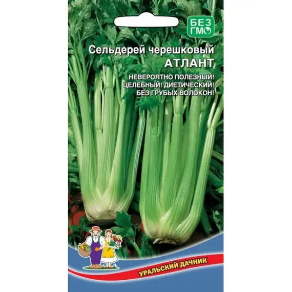 Семена Сельдерей Атлант - черешковый (а/ф Уральский Дачник)