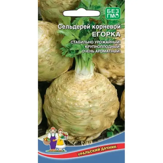 Семена Сельдерей Егорка - корневой (а/ф Уральский Дачник)