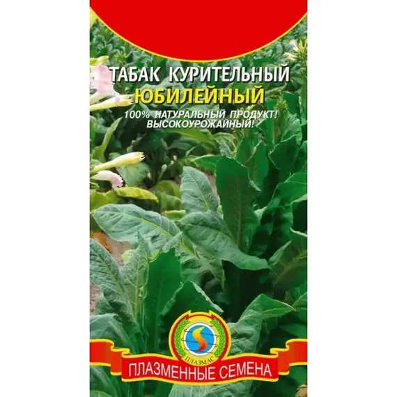 Семена Табак курительный Юбилейный (а/ф Плазменные семена)