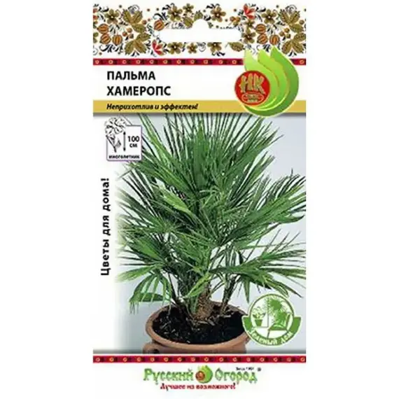 Семена Пальма Хамеропс (зел.дом) (2шт. а/ф Русский Огород)