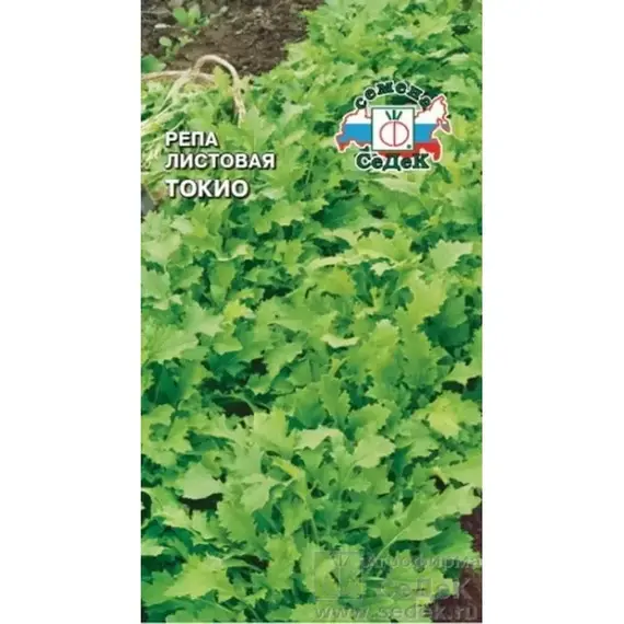 Семена Репа Токио листовая (а/ф Седек)