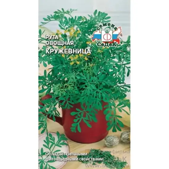 Семена Рута овощная Кружевница (а/ф Седек)