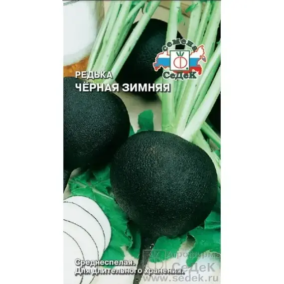 Семена Редька Черная зимняя (а/ф Седек)