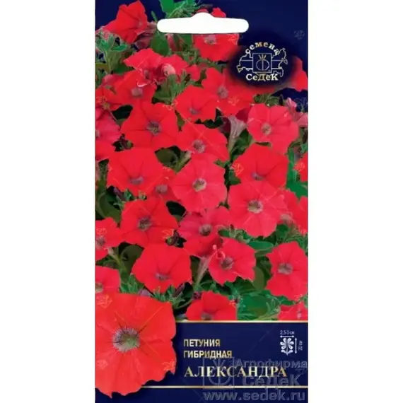 Семена Петуния Александра F1 (а/ф Седек)