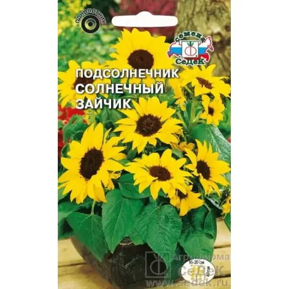 Семена Подсолнечник Солнечный зайчик (а/ф Седек)