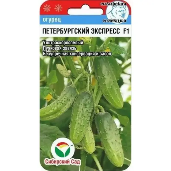 Семена Огурец Петербургский экспресс F1 7шт (а/ф Сибирский Сад)