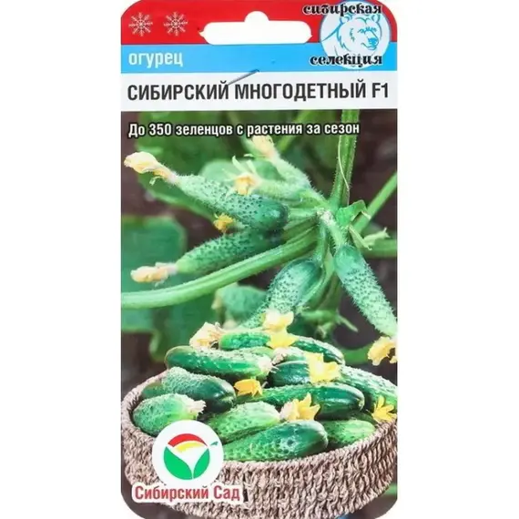 Семена Огурец Сибирский многодетный F1 7шт (а/ф Сибирский Сад)