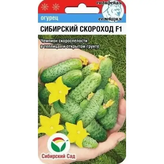 Семена Огурец Сибирский скороход F1 7шт (а/ф Сибирский Сад)