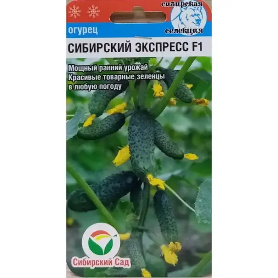 Семена Огурец Сибирский экспресс F1 7шт (а/ф Сибирский Сад)