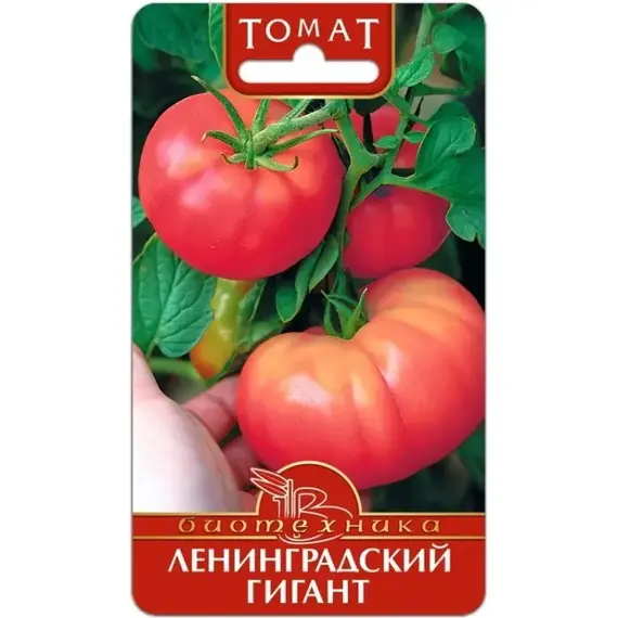 Семена Томат Ленинградский Гигант (Крупноплодный) (а/ф Биотехника)