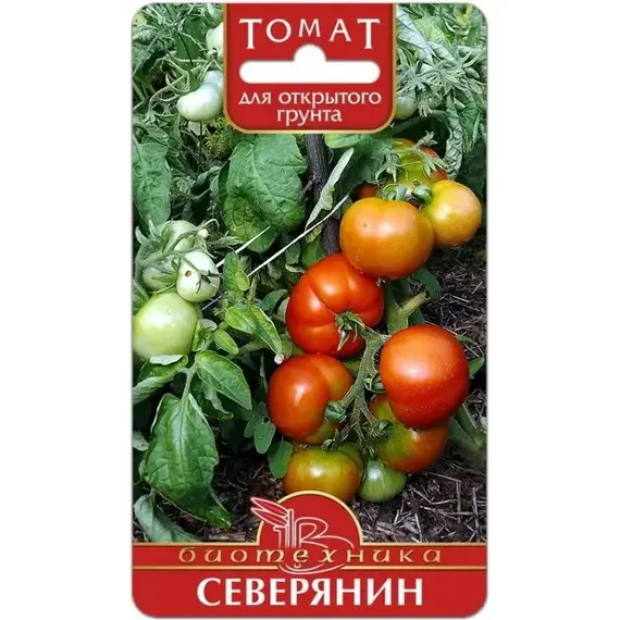 Семена Томат Северянин (а/ф Биотехника)