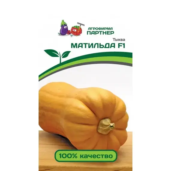 Семена Тыква Матильда F1 (А/Ф Партнер)