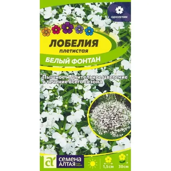 Цветы Лобелия Белый Фонтан плетистая (а/ф Семена Алтая)