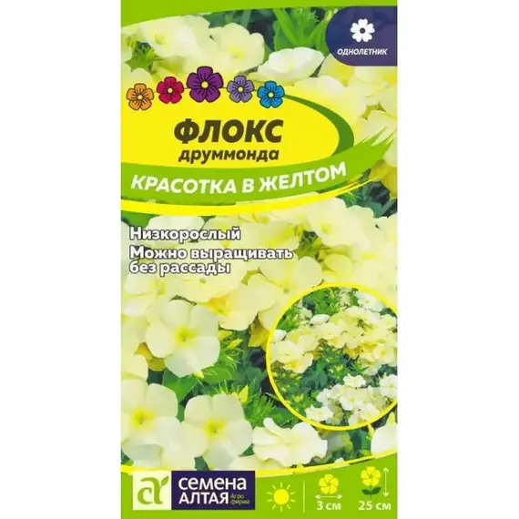 Семена Флокс Красотка В Желтом Друммонда (а/ф Семена Алтая)