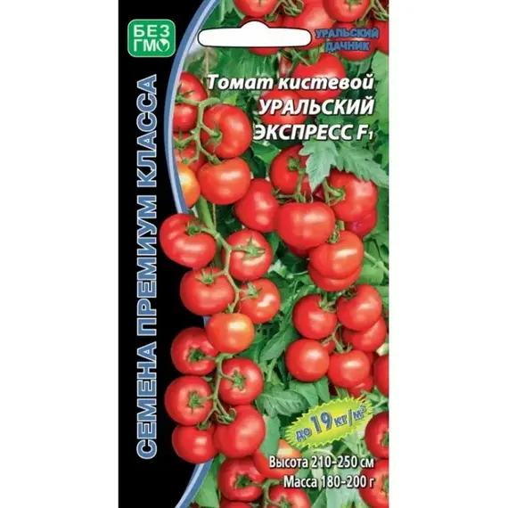 Семена Томат Уральский экспресс - кистевой F1 (а/ф Уральский Дачник)