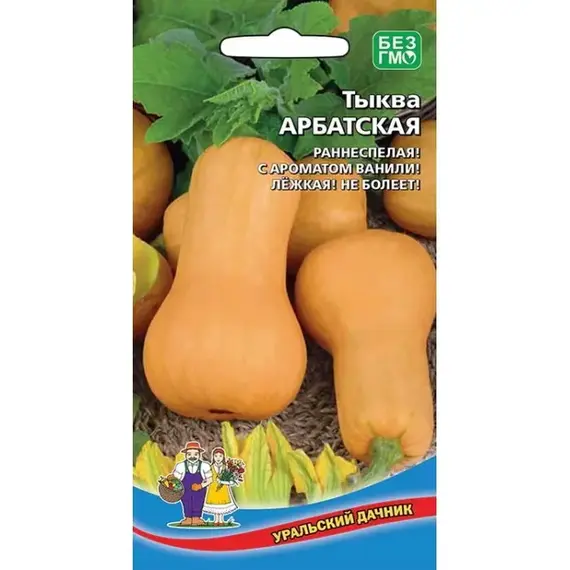Семена Тыква Арбатская (а/ф Уральский Дачник)